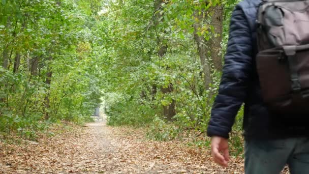 Hombre lindo caminando en el bosque en otoño — Vídeo de stock