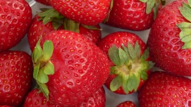 Frische Erdbeeren auf weißem Hintergrund — Stockvideo