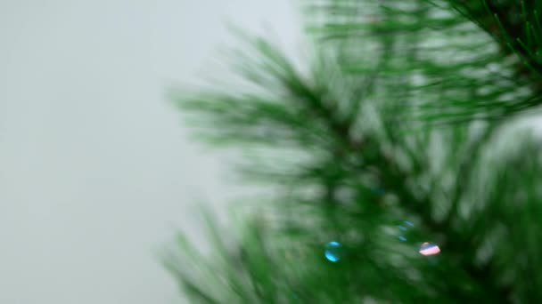 Προετοιμασία χριστουγεννιάτικου δέντρου — Αρχείο Βίντεο