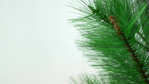 Προετοιμασία χριστουγεννιάτικου δέντρου με σφαίρα παιχνίδι — Αρχείο Βίντεο