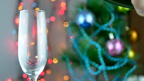 Vaze de champanhe com luzes de Natal — Vídeo de Stock