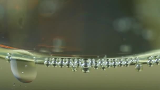 Bubbels binnen een glas champagne — Stockvideo