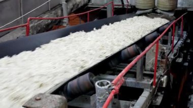 Şeker konveyör üretim hattı fabrika yetişmek pancar ile