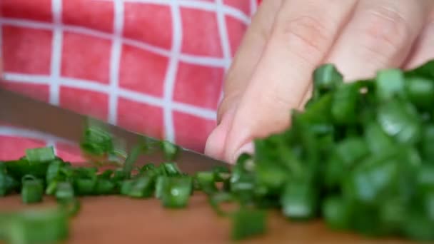 Person cutting green onions — Stock Video