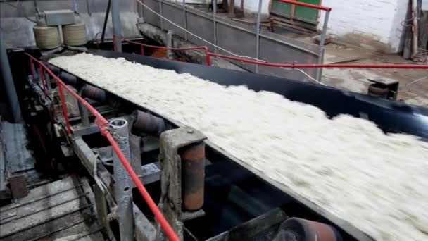 Ζάχαρη ταινιοδρόμων γραμμή παραγωγής εργοστασίου με cuting τεύτλα — Αρχείο Βίντεο