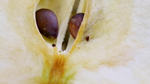 Brödskiva halv-cut apple snurrar — Stockvideo