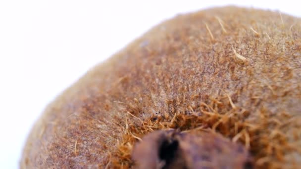 Peel kiwi tourne 