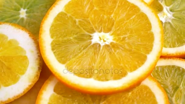 Rotações de fatias de laranja — Vídeo de Stock