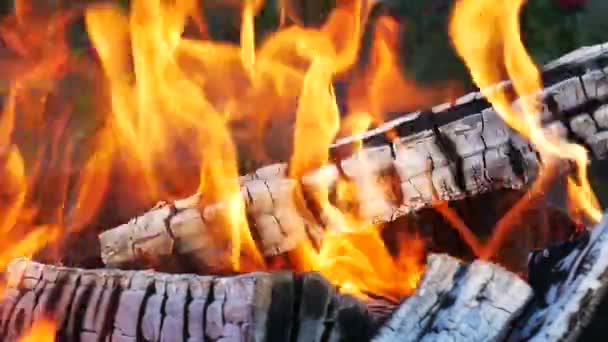 벽난로에서 나무를 태우는 모습 — 비디오
