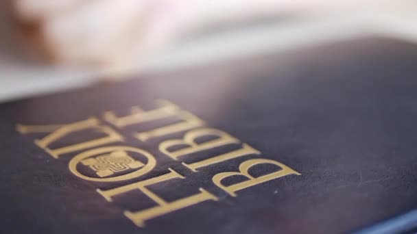 Persona ora con la Santa Biblia — Vídeos de Stock