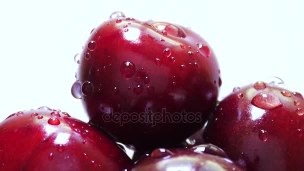 Sweet fresh ripe cherries rotates with dew drops — Stock Video