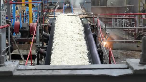 Cukrovar, dopravník výrobní linky s spadávkou řepa — Stock video