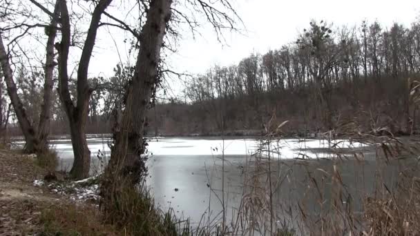 Озеро льоду восени — стокове відео