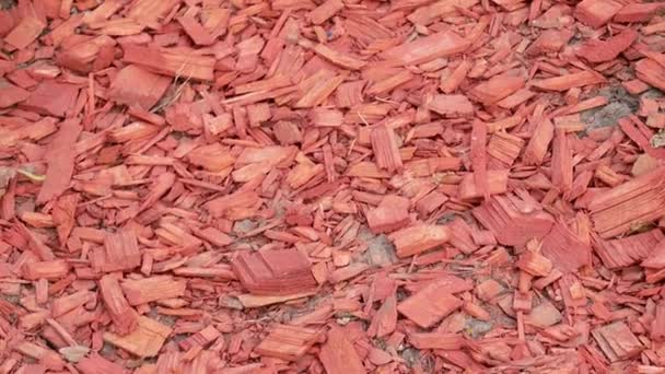公园树下的红色装饰木屑木片 — 图库视频影像
