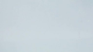 Dalış düşen kayısı dilim