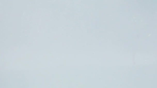 Tranche d'abricot tombant dans l'arrosoir 