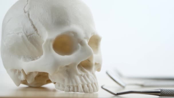 İnsan kafatası ve çene ile diş hekimi araçlar kümesi — Stok video