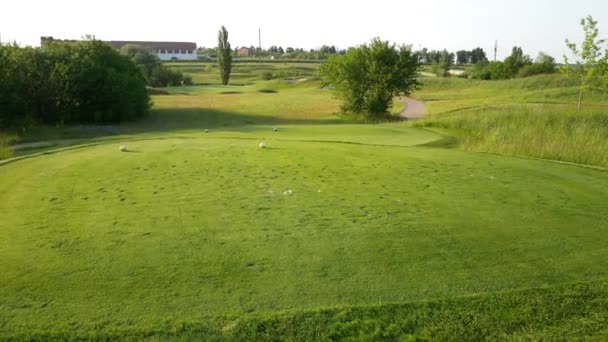 Perfect groen gras op een golfveld — Stockvideo