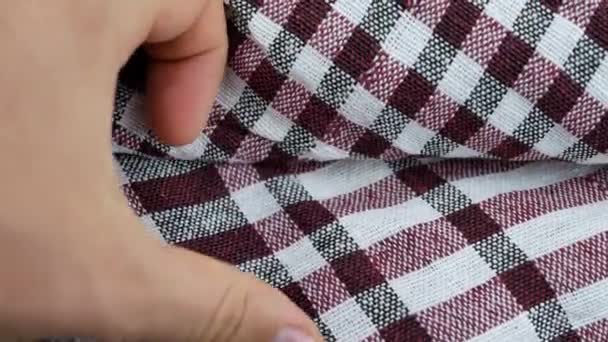 Кравець перевіряє зразки тканин текстилю — стокове відео