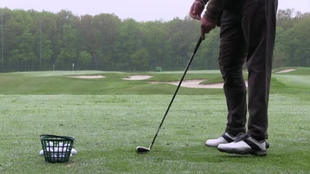 Людина грає в гольф в клубі на зеленій траві — стокове відео