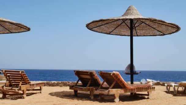 Sun natural umbrellas and sun lounge chairs on beach — Stock Video