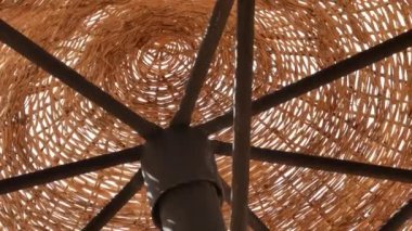 Güneş şemsiyesi ve palm Beach