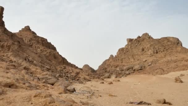 Rubbish in woestijn. Probleem van de verontreiniging van woestijnen — Stockvideo