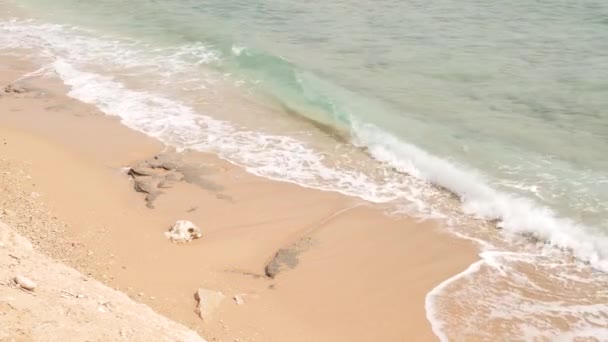 Mar de agua u océano en la playa — Vídeos de Stock