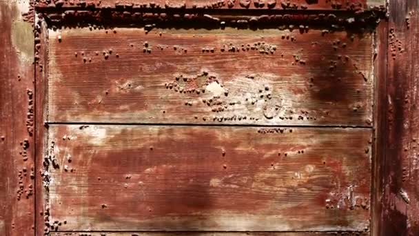 Alte rot lackierte Holzoberfläche für eine Hintergrundstruktur — Stockvideo