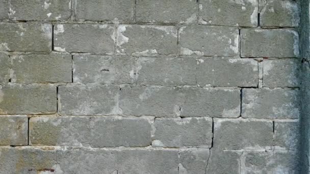 Muro de ladrillo de cemento gris para textura de fondo — Vídeos de Stock