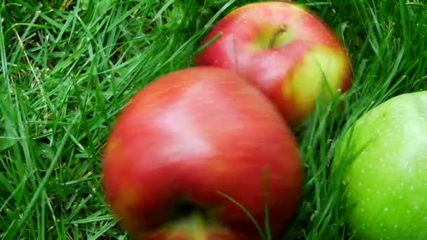 Κόκκινα μήλα πέφτουν στο πράσινο γρασίδι — Αρχείο Βίντεο
