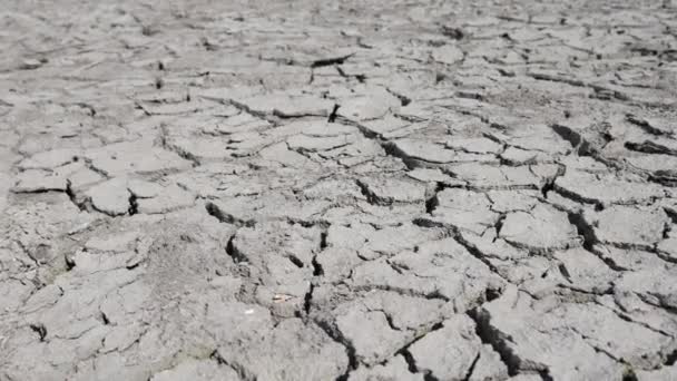 Lake bed opdrogen als gevolg van droogte — Stockvideo