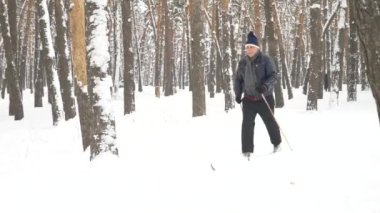 Çam Ağaçları Arasındaki Ormanda Kayak Yapan Yaşlı Adam