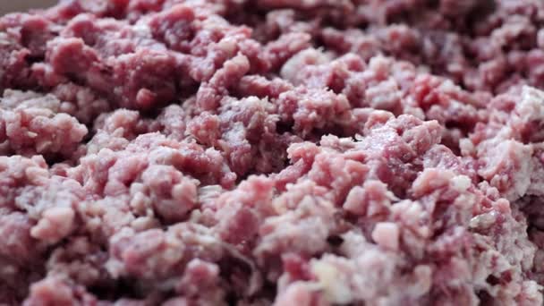 Frisches rohes Hackfleisch — Stockvideo