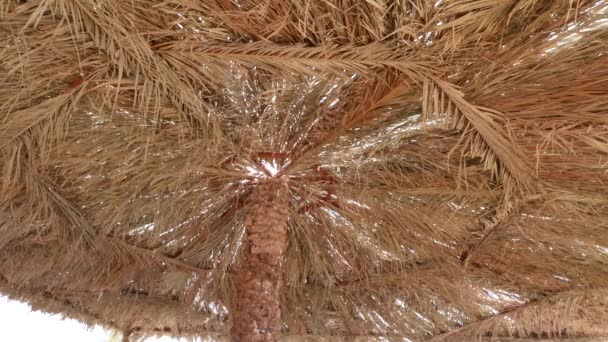 Зонтики из пальмовых листьев на пляже — стоковое видео