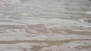 Shore 'da Şişe İçinde Mektup veya Mesaj