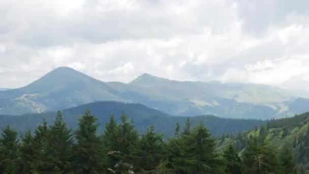 Borový les a Zelené pohoří — Stock video