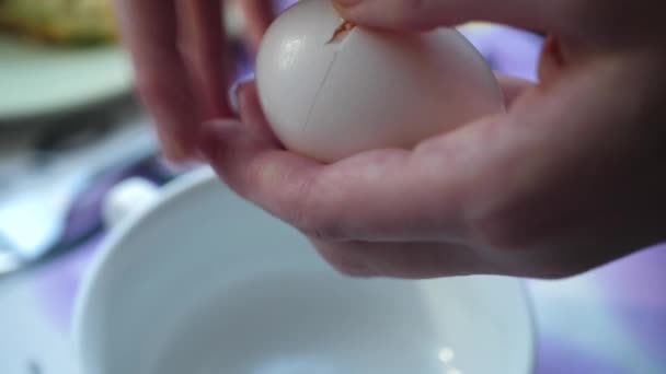 Womans Hands Breaks Egg into White Bowl — 비디오