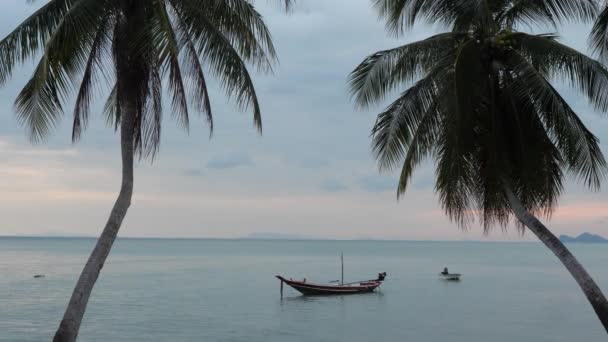 Wonderful Exotic Seascape From Shore With Two Small Wooden Fishing Boats Floating On Water — ストック動画