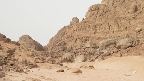 Spazzatura nel deserto nella soleggiata giornata estiva — Video Stock