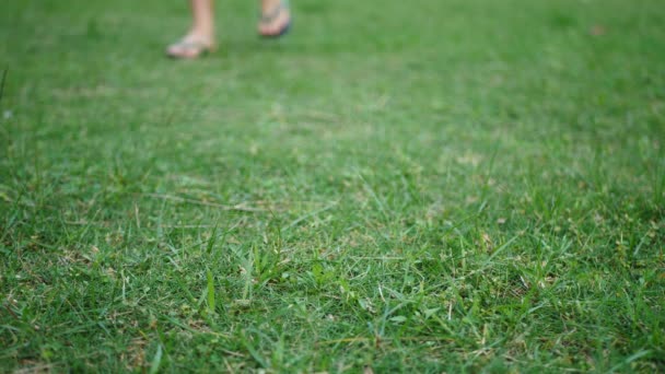 Мужские шаги на зеленой траве в шлепанцах, затем снимает их и ходит босиком — стоковое видео