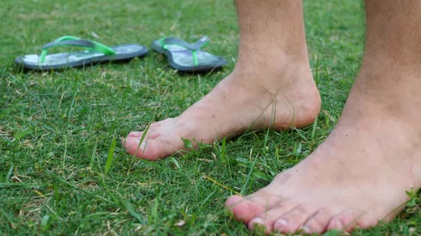 Masculino levou fora chinelos e goza de pé descalço no corte de grama verde — Vídeo de Stock
