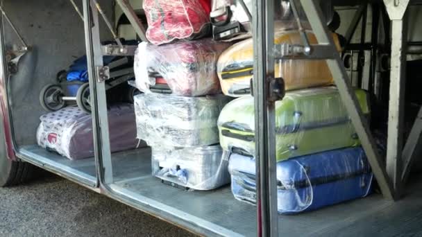 Suitcases in luggage compartment of bus — Stockvideo