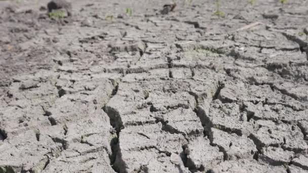Засуха и кризисная среда — стоковое видео