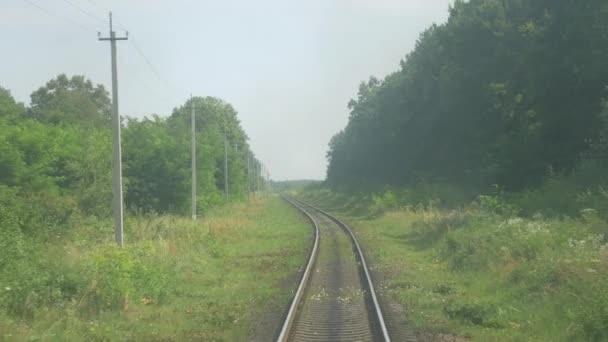 Railway in Motion Green Trees Background — Stockvideo