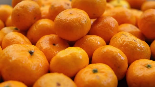 Куча спелых апельсиновых мандаринов — стоковое видео