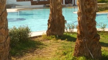 Female Swims in Swimming Pool at Hotel Area