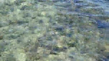 Su deniz ya da okyanus plaj taşlaşmış mercan taşları ile