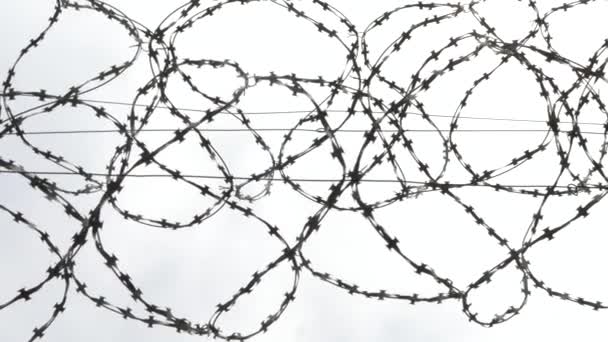 Barbed Steel Wire — Stock Video