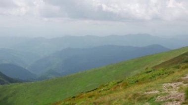 Güzel, uçsuz bucaksız yeşil dağ çayırları